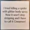 I Tried Killing a Spider