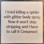 I Tried Killing a Spider
