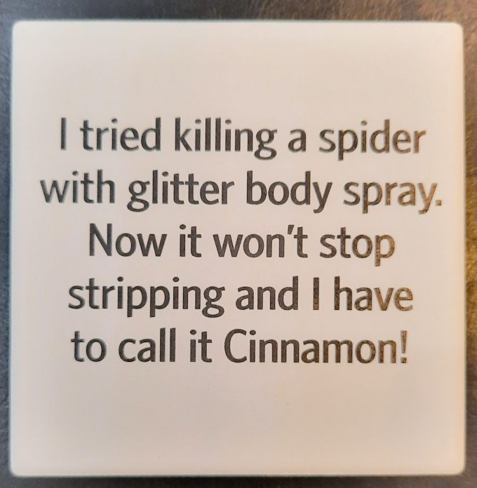 I Tried Killing a Spider