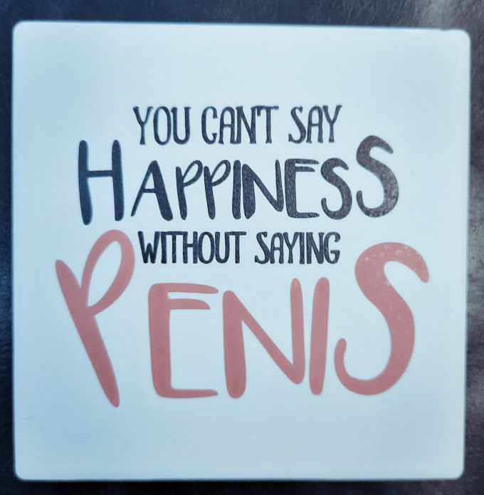 You Cant Say Happiness