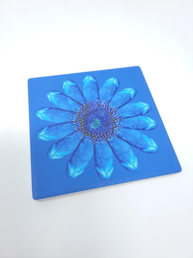 DASIES Blue Coaster