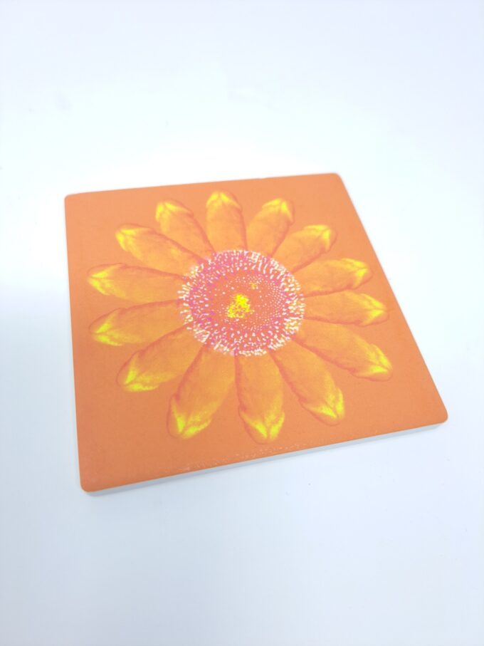 DASIES ORange Coaster