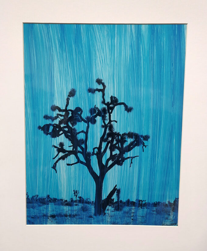 SOLO Blue