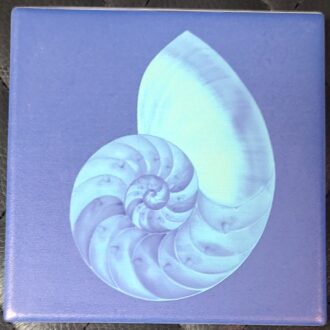 COASTERS - NAUTILUS Shell   BLUE